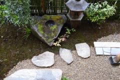 DSC00581 DSC00581