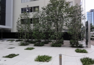 DSC01825