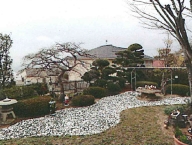 DSC01061