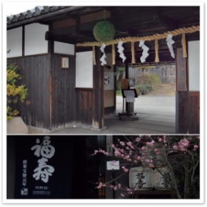 NiwaNaviImage