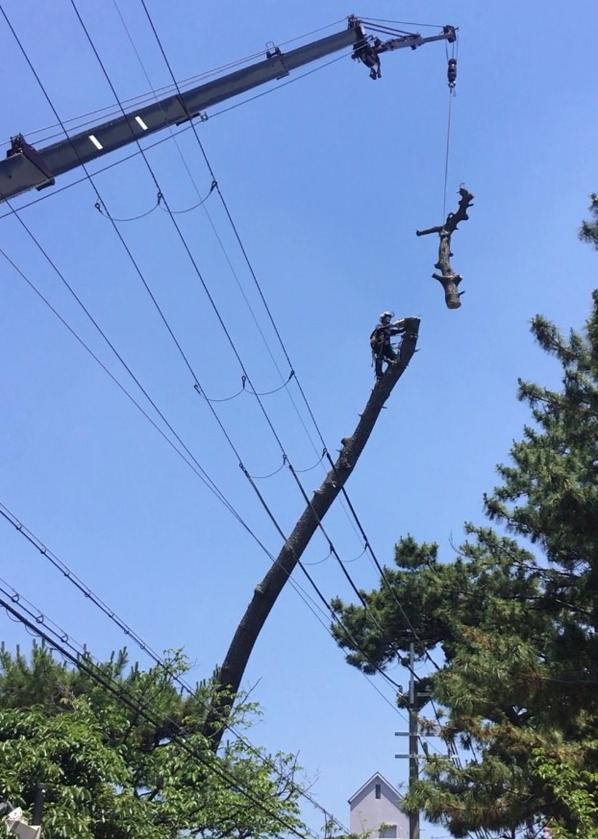 ����¾�����饤�ߥ�
