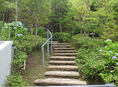 神戸市某山荘_庭木剪定後 神戸市某山荘_庭木剪定後